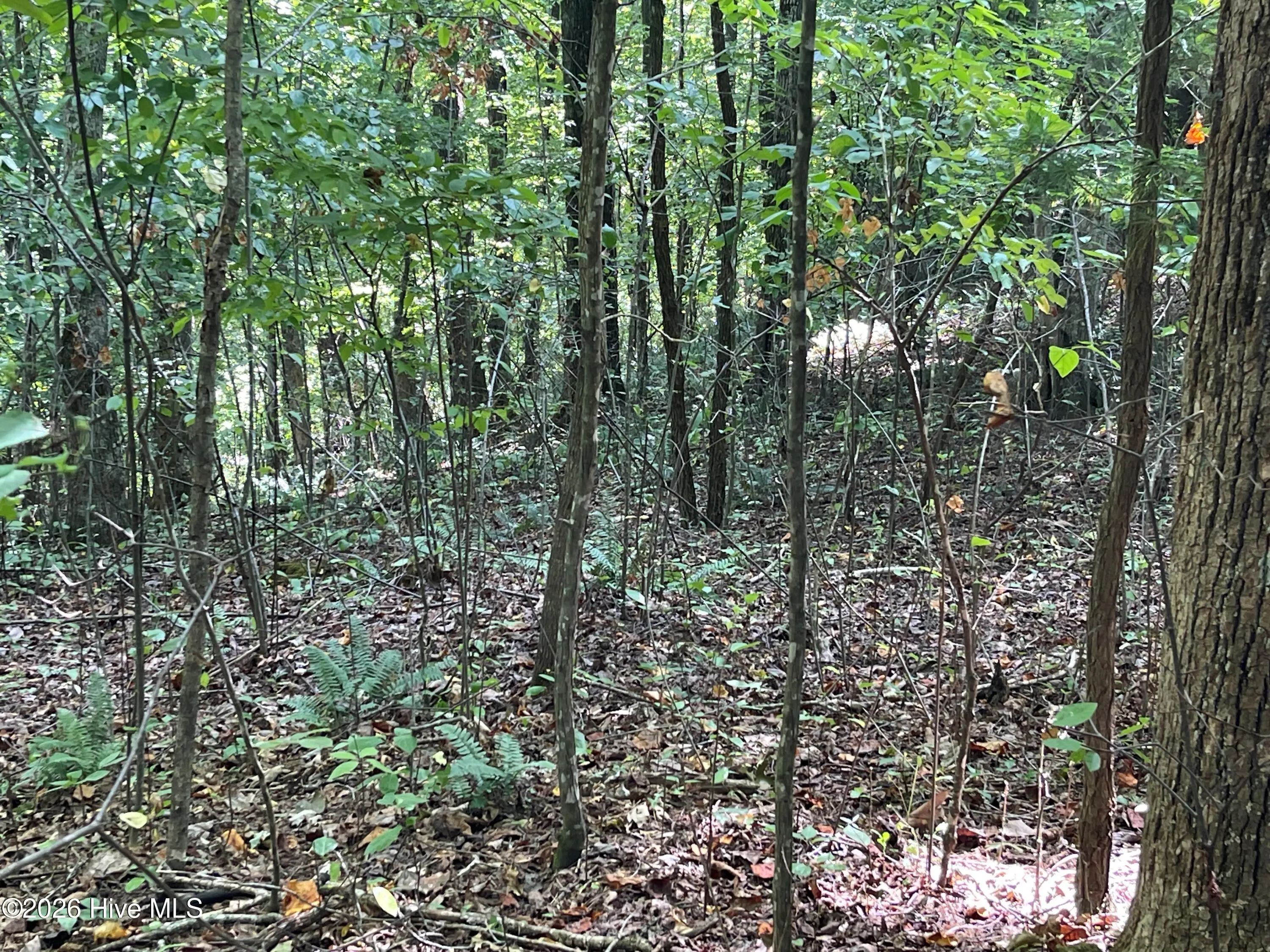 81a-82a Licklog Road, Hayesville