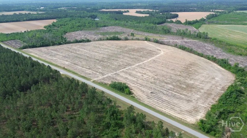 0 Bunn Store Road Tract 4, Midville