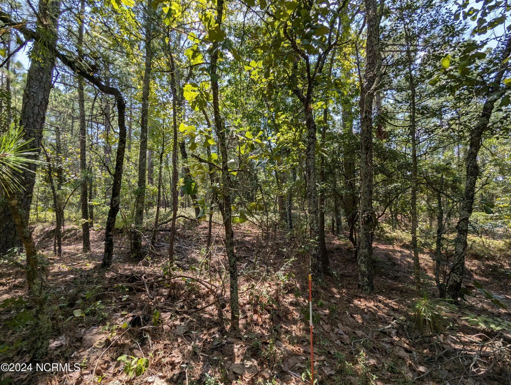 445 Thimbleberry Drive, Vass
