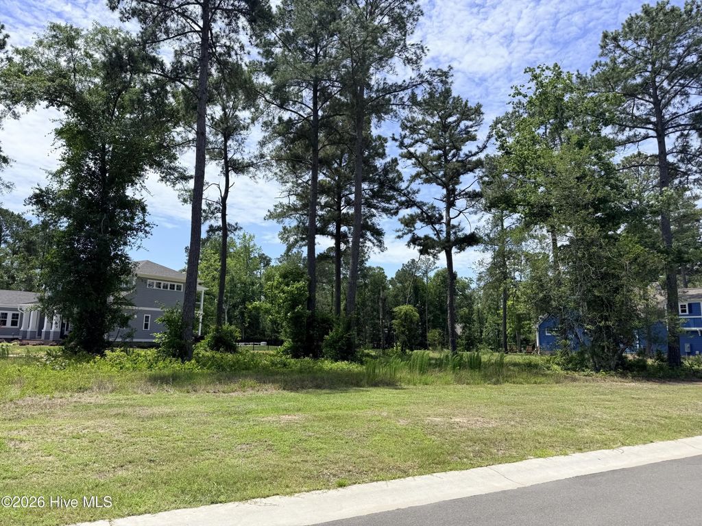 3764 River Park Way Ne, Leland