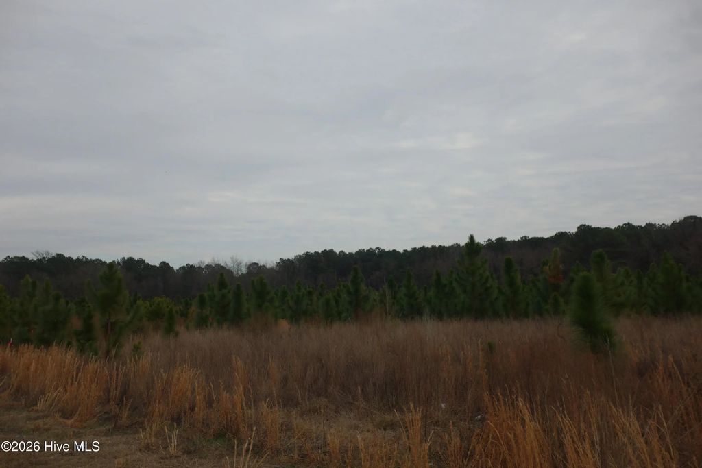 Lot 38 Stuarts Mill Road, Fairmont