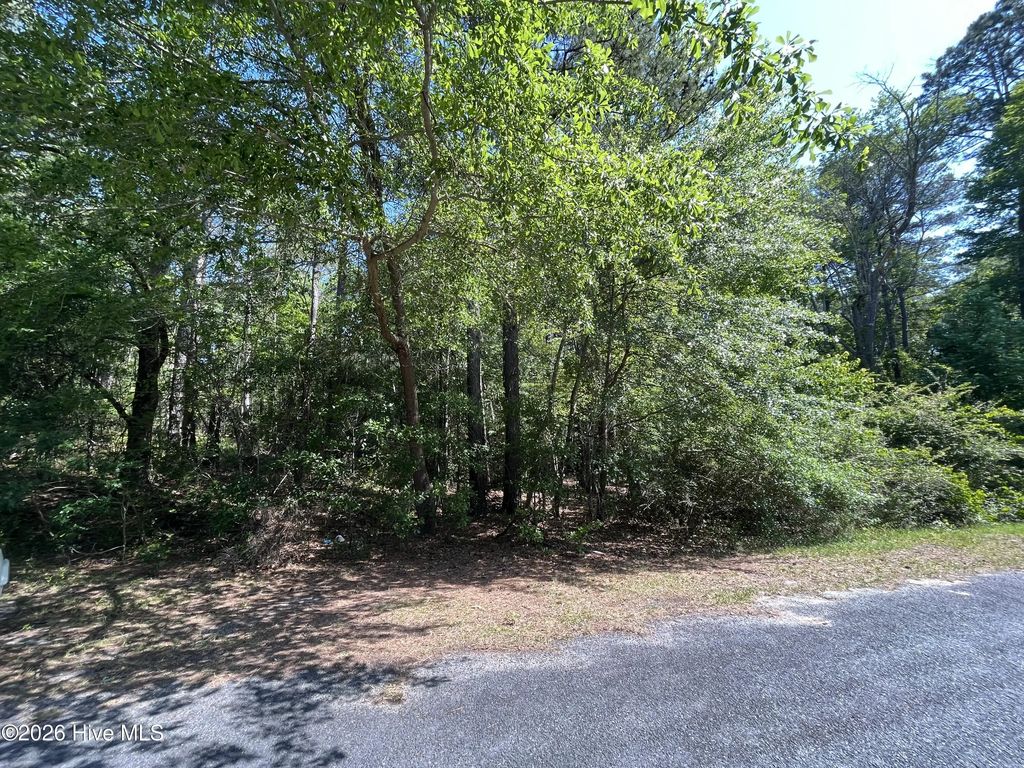 304 Eastman Road, Southern Pines