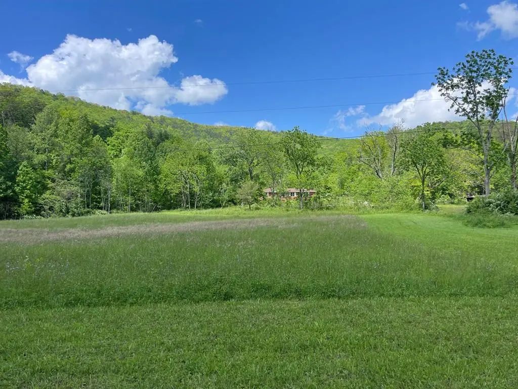 155 Cedar Cliff Lane, Unaka