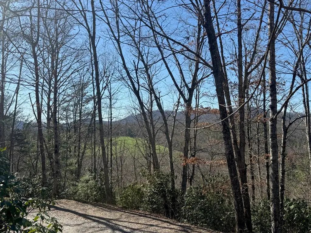 N/A, Brasstown