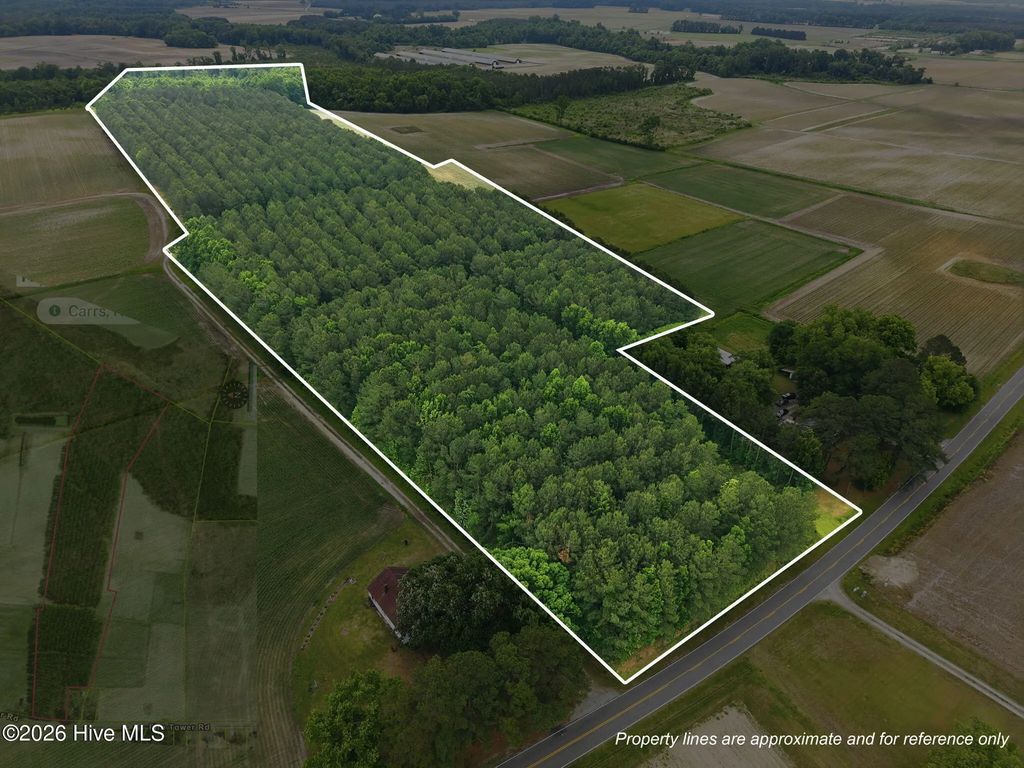 0 Fire Tower Road, Walstonburg
