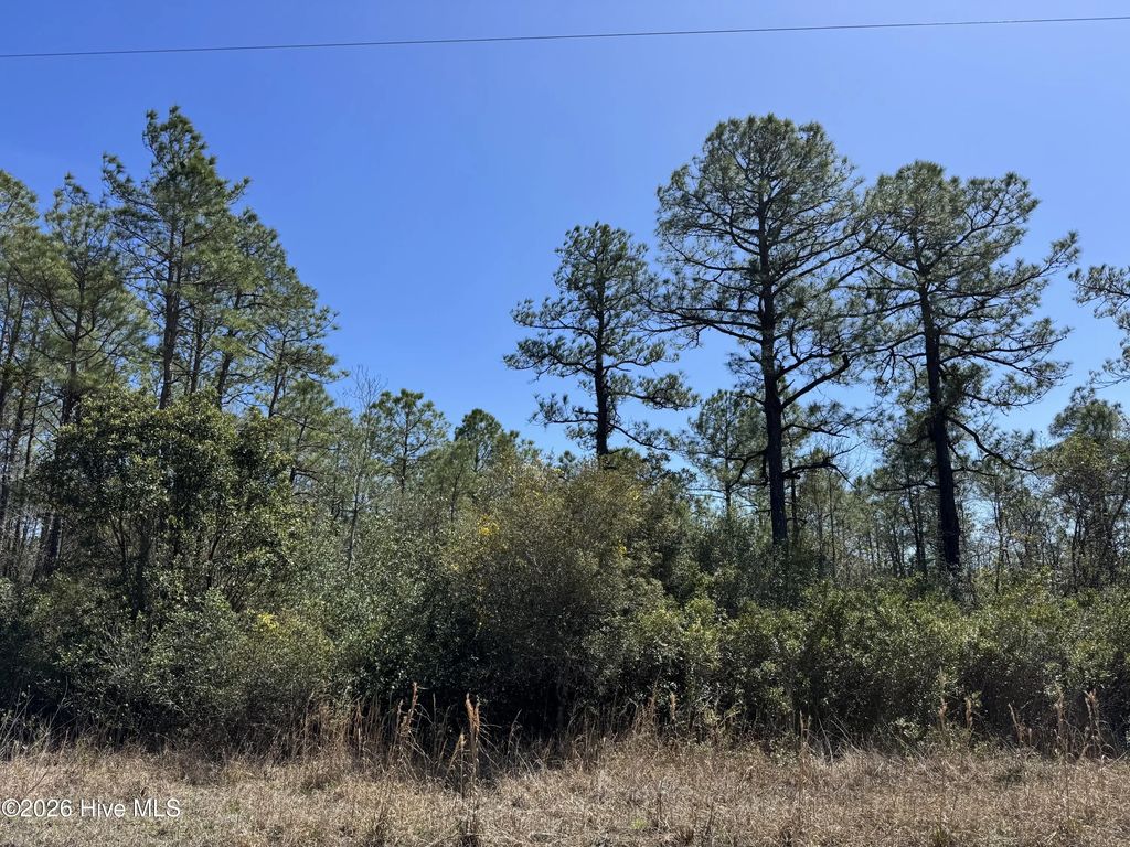 Lot 21 New Hanover Road, Boiling Spring Lakes