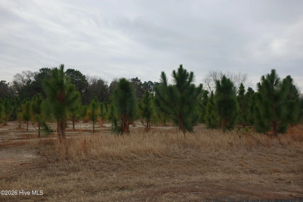 Lot 43 Stuarts Mill Road, Fairmont