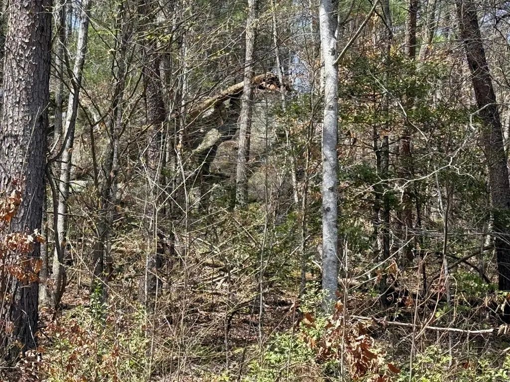 0 Morrow Road, Beaver Dam