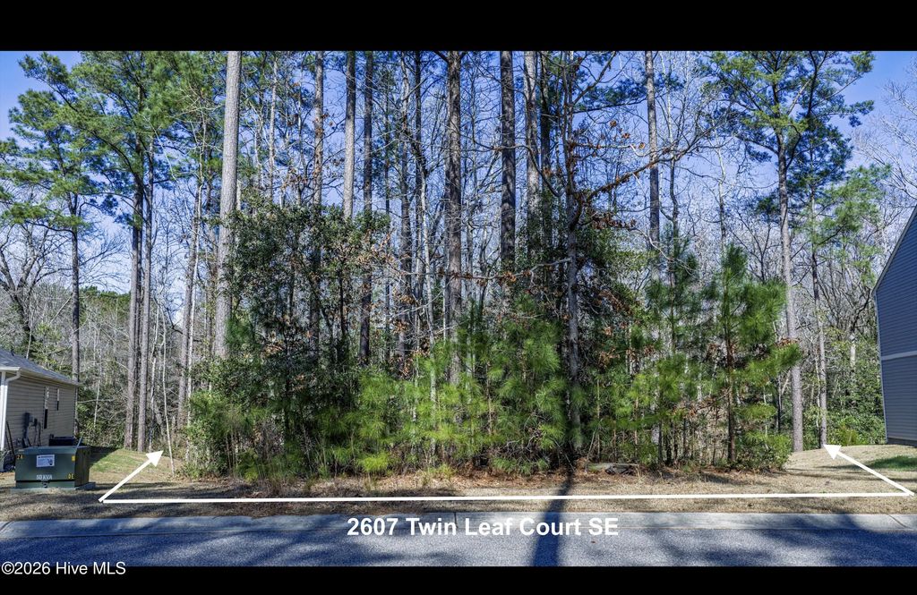 2607 Twin Leaf Court Se, Bolivia
