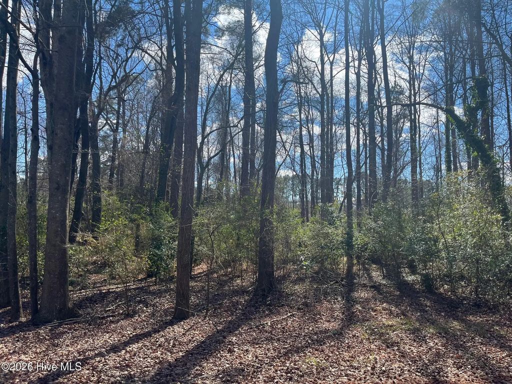 11 Brookwood Road, Kinston
