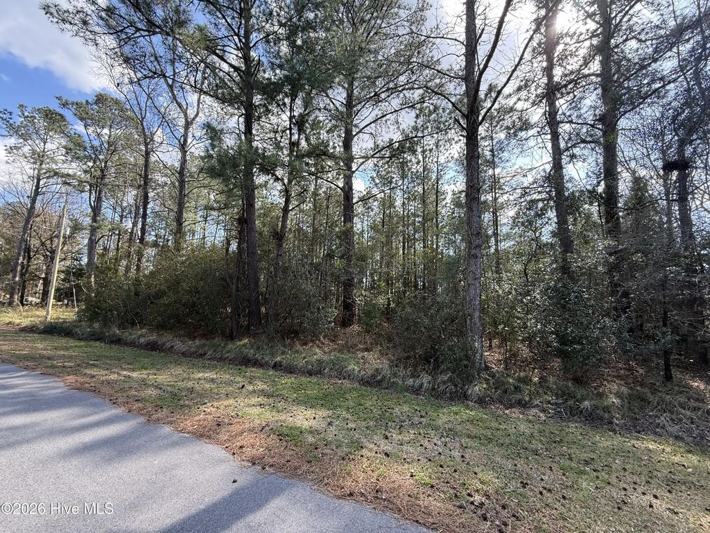 116 Wackena Way, Beaufort