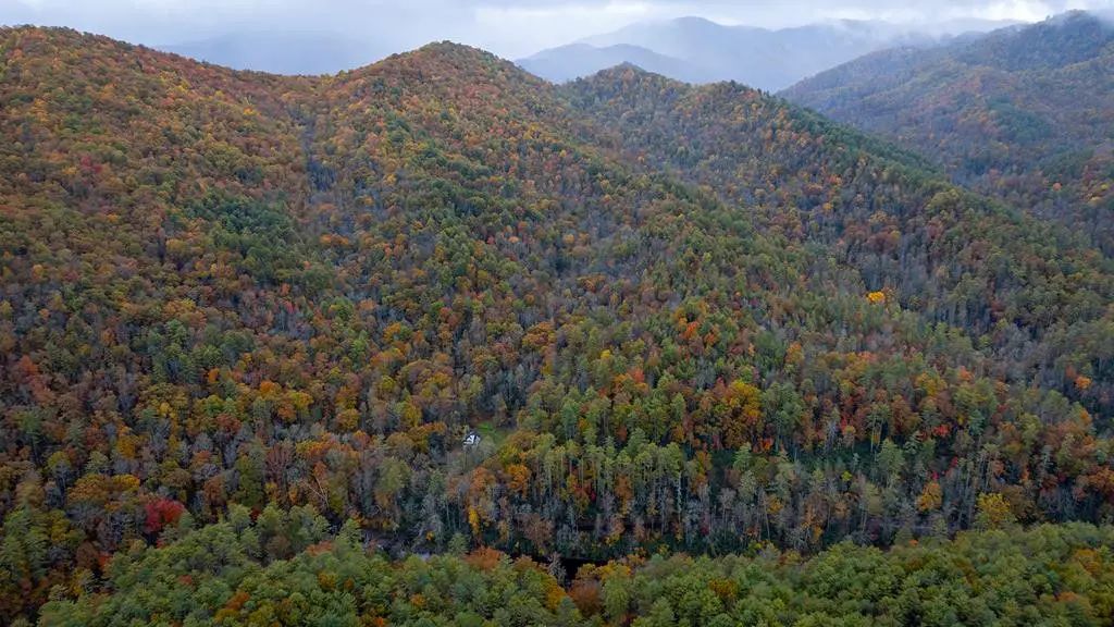 139 Land Iu Gap Road, Snowbird