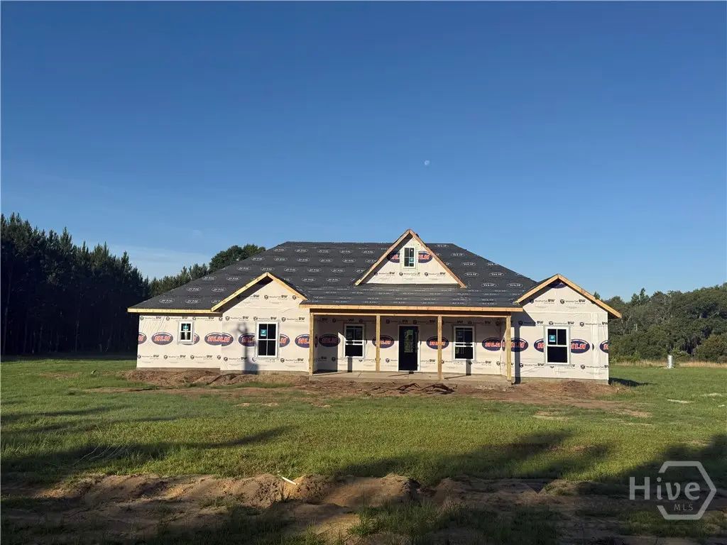 999 Ne Darwell Long Road, Ludowici
