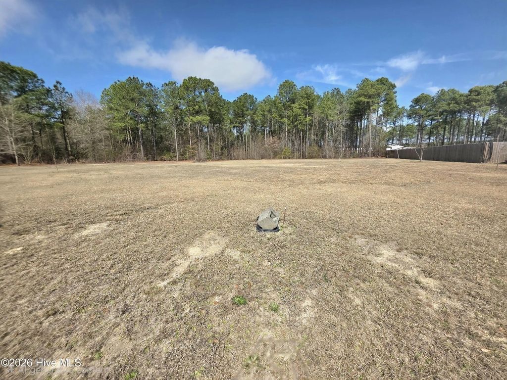 290 Raynor Sands Drive, Dunn