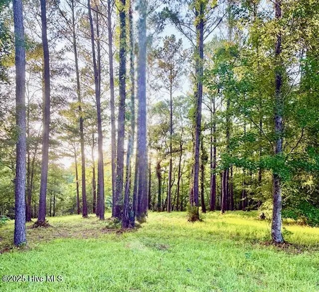 850 Southern Plantation Drive N, Oriental