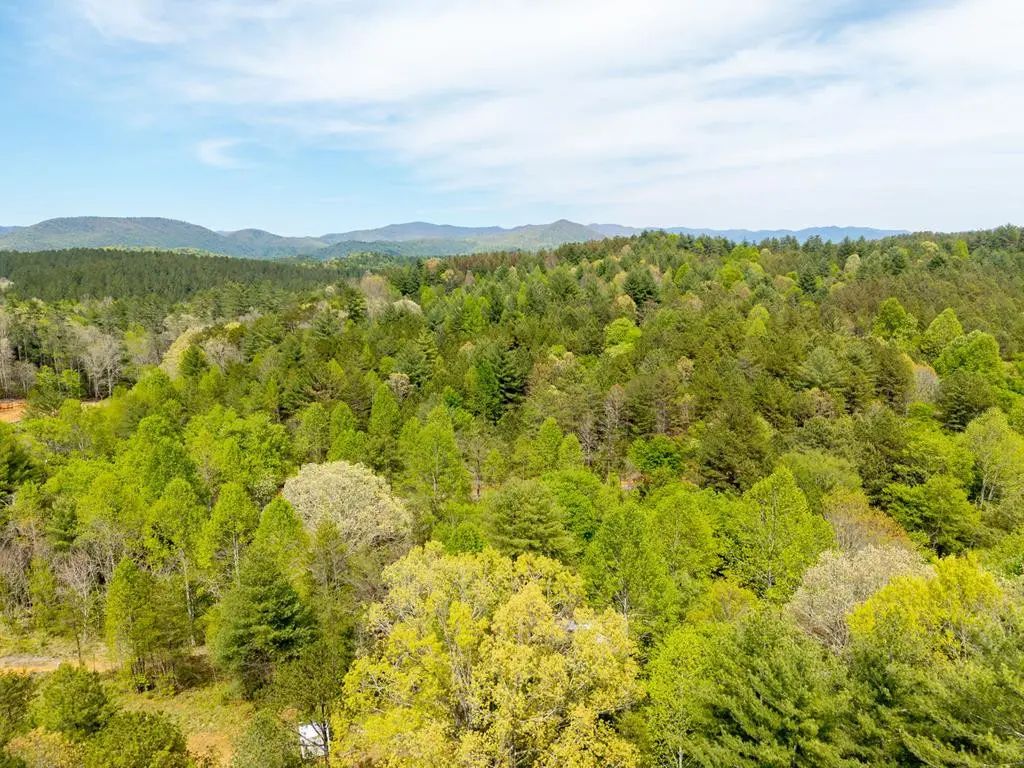 125 Milk And Honey Drive, Hiwassee Dam