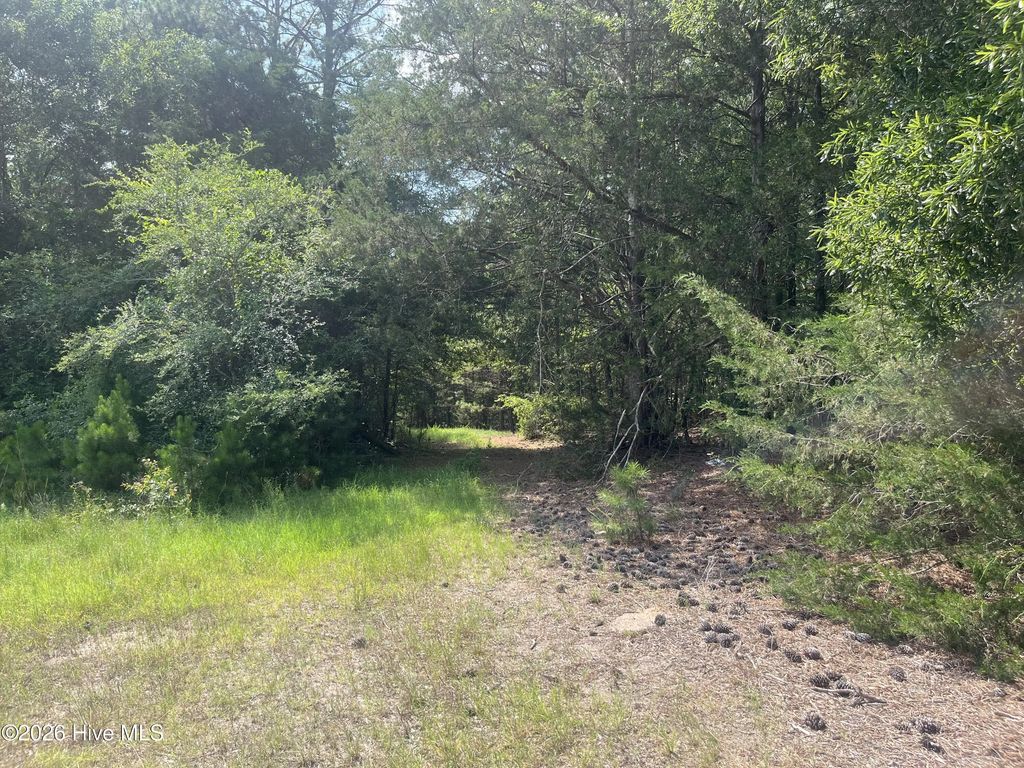 16.9 Ac Rowland-york Drive, Lincolnton