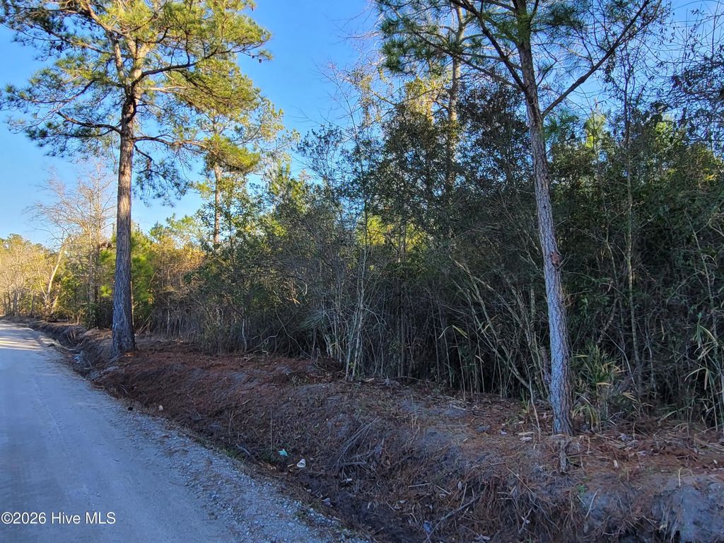 Tbd Lot 3 Auburn Drive, Loris