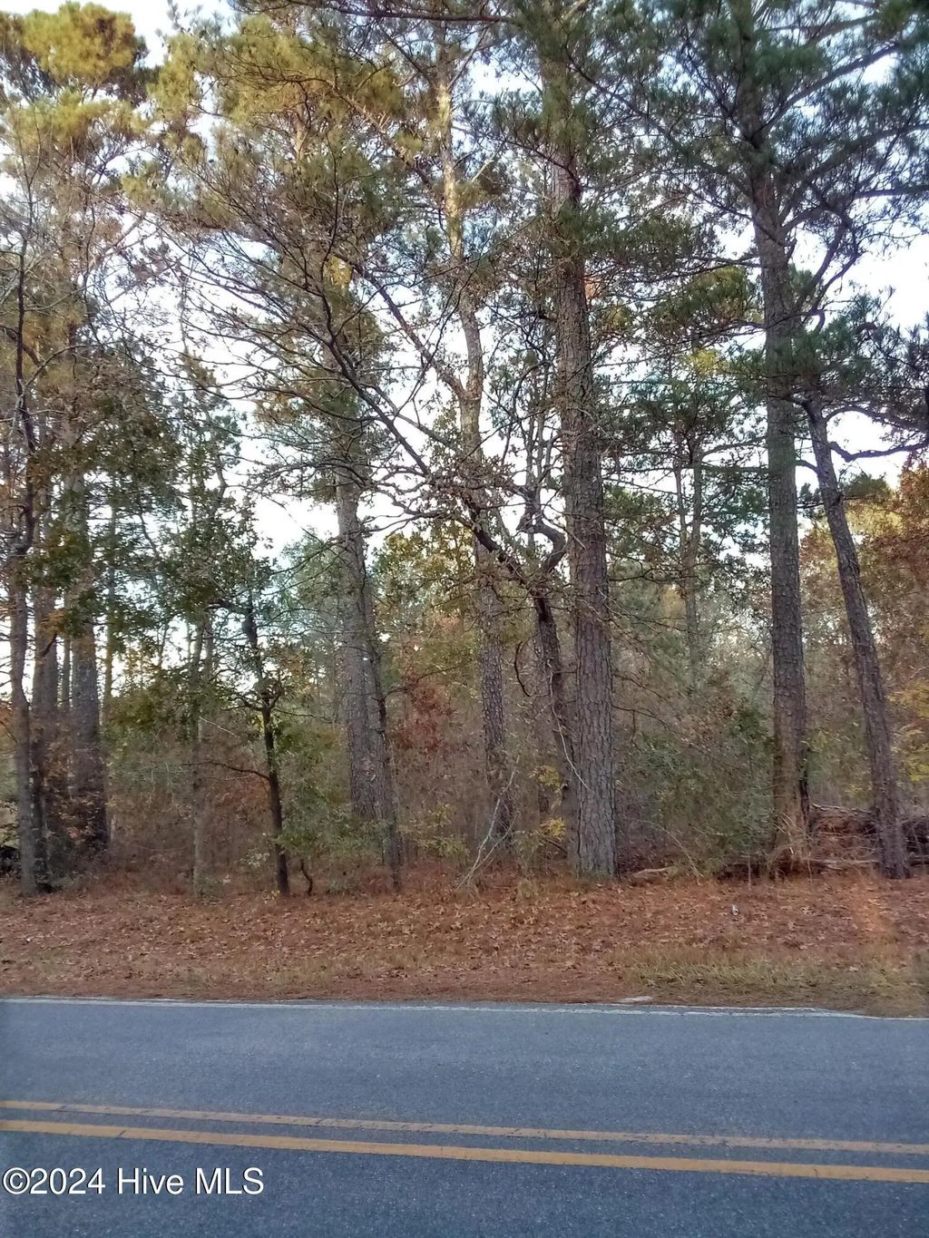Lot #1 Stelleys Tabernacle Church Road, Rockingham