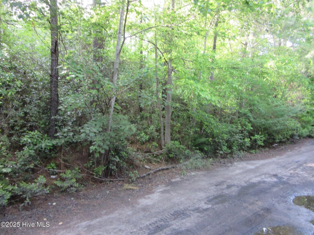 1253 Crooked Pine Road, Wilmington