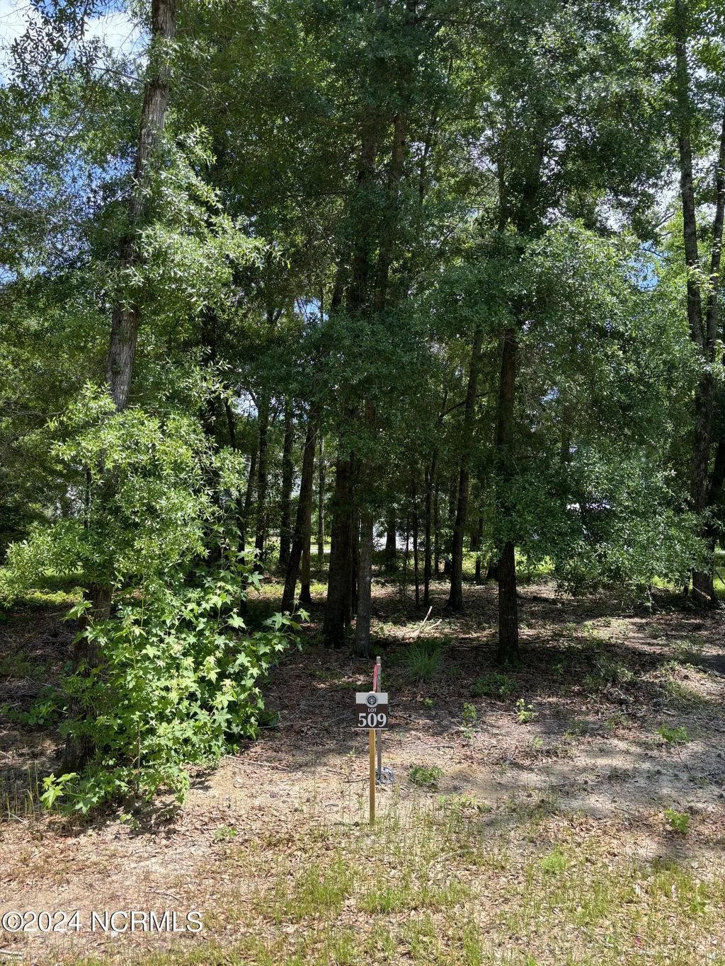 3718 Barnesmore Drive, Castle Hayne