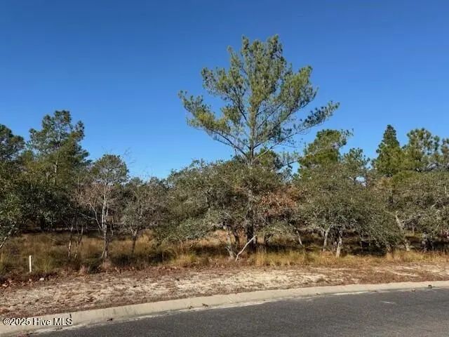 495 Antilla Drive Se, Bolivia