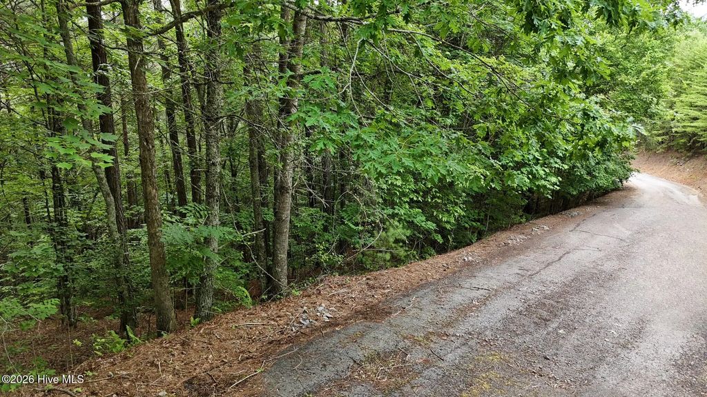 104,105 Choctaw Ridge Trail, Murphy