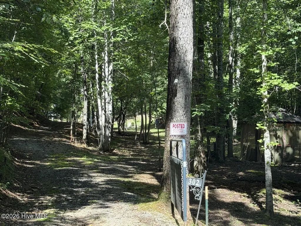 302 Dollie Sneed Lane, Murphy