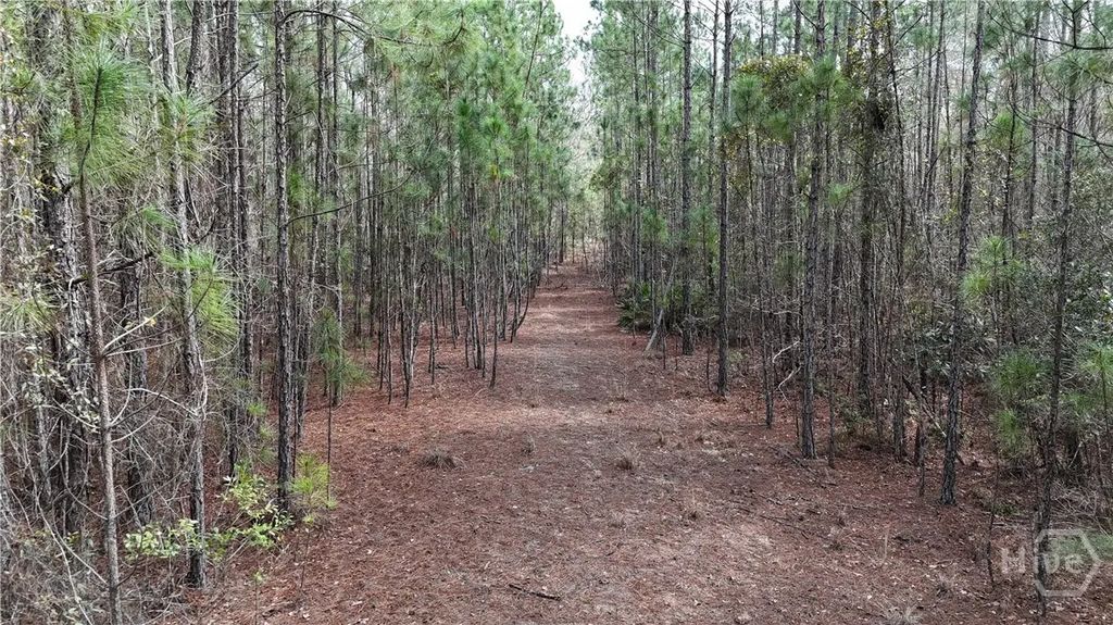 Lot 1 Lila Lane, Pembroke