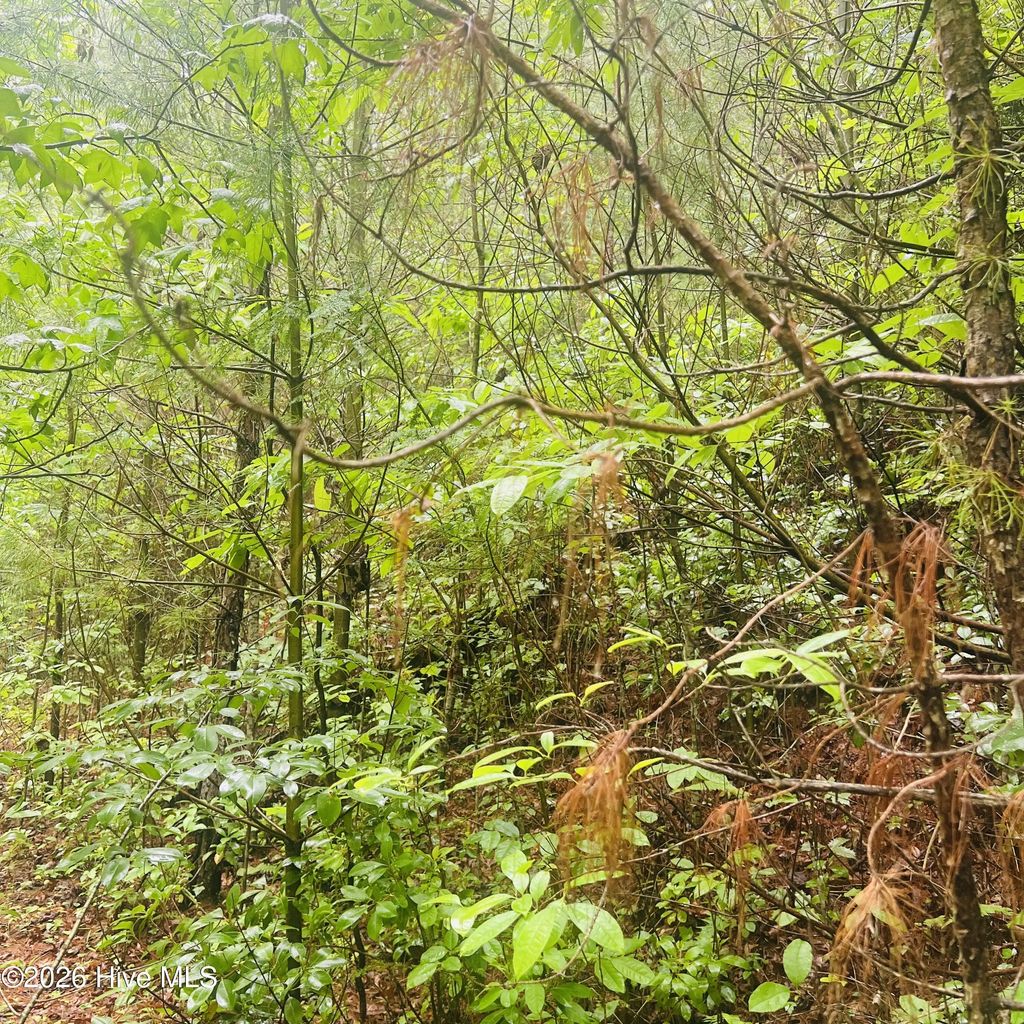 Lot 20 Owl Bluff, Murphy