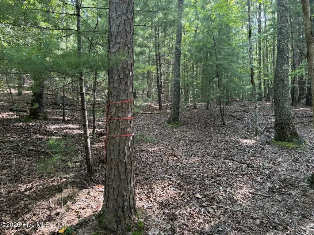 919 Panther Top Road, Hiwassee Dam