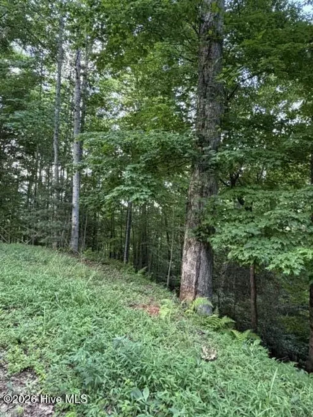 Lot 59 Quiet Mountain Trail, Murphy