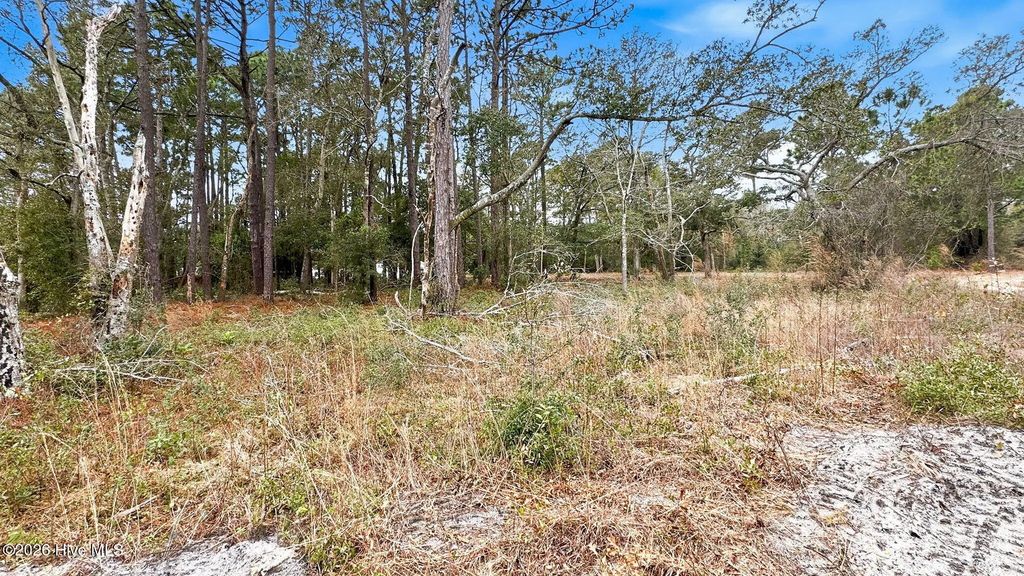 109 Yaupon Dr Exd, Southport