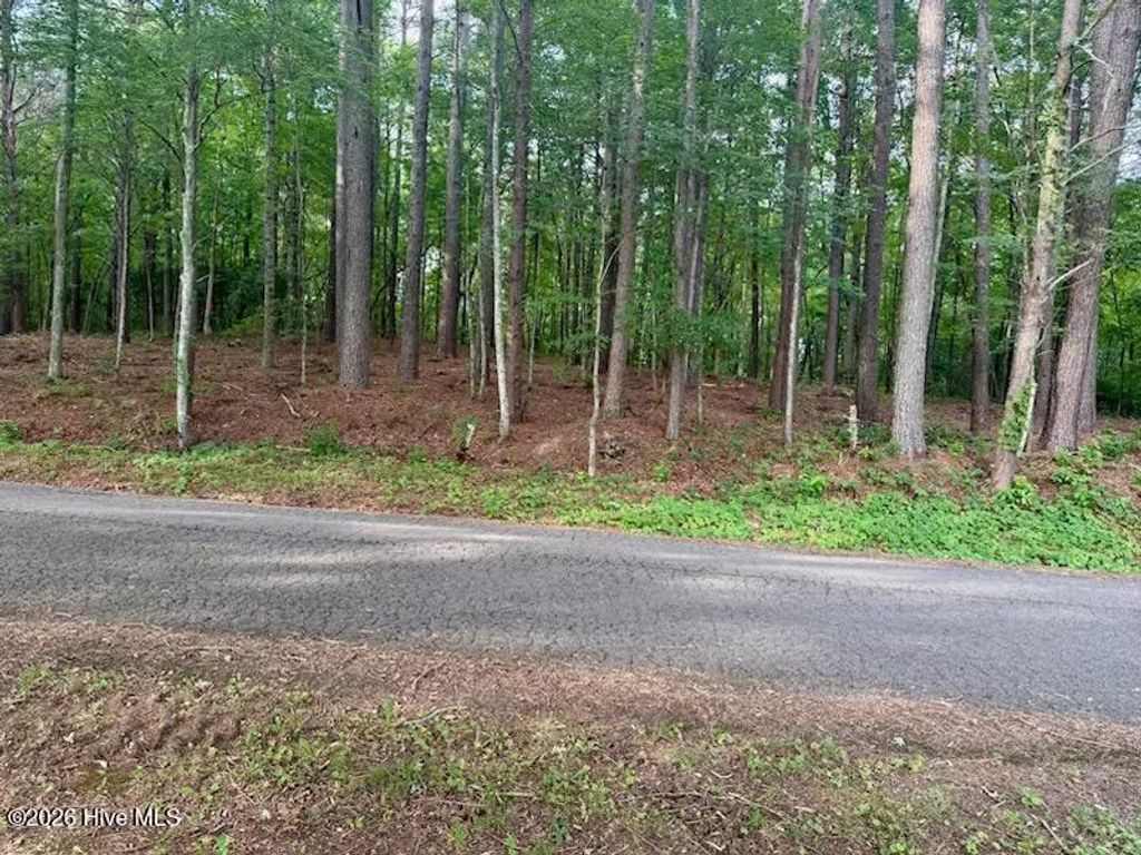 Lot 3 Tennessee 68, Turtletown