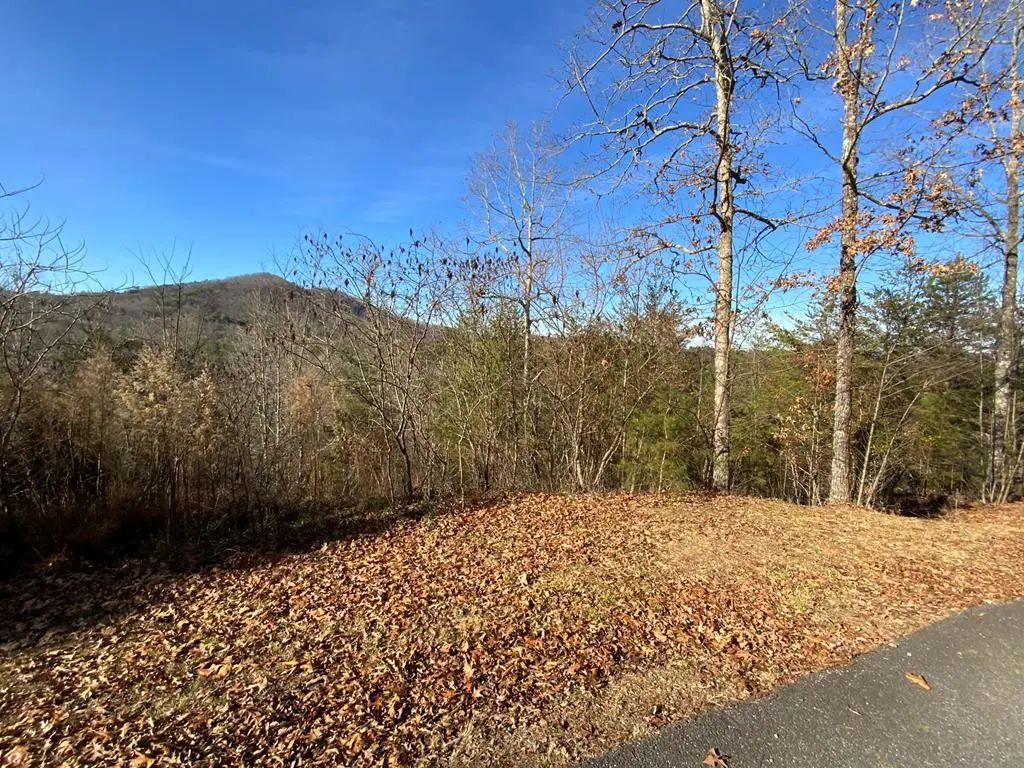00 Brasstown View, Murphy