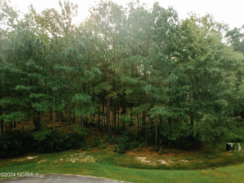 3 Alexander Drive, Belhaven