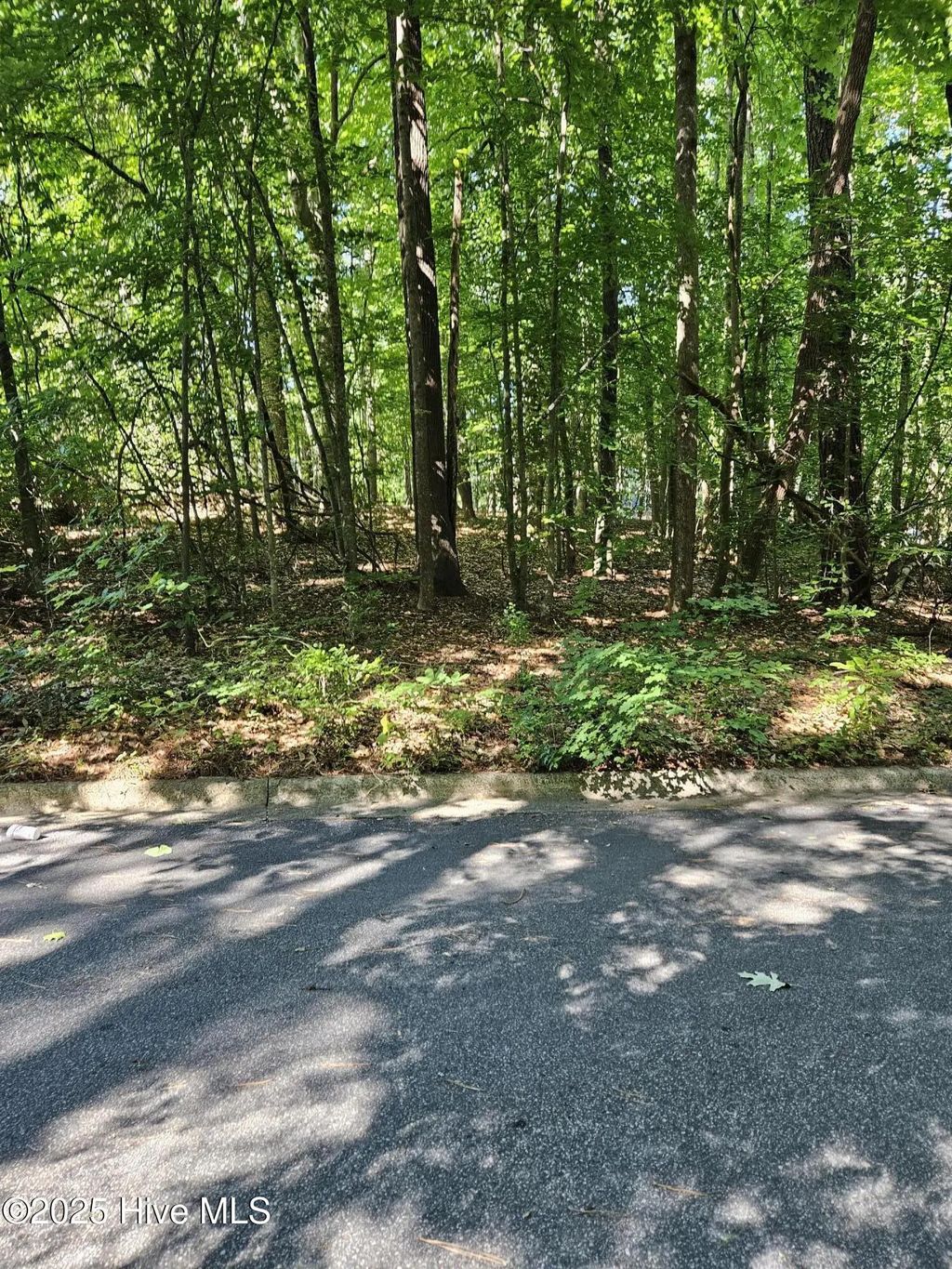 0 Woodlawn East Drive, Williamston