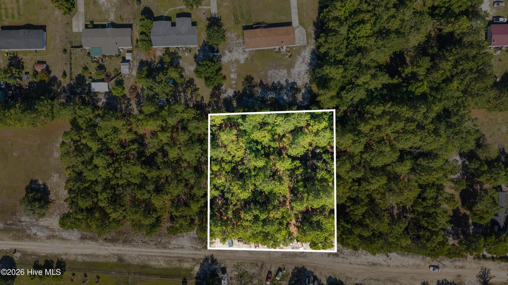 3334 Sandy Hills Drive Ne, Leland