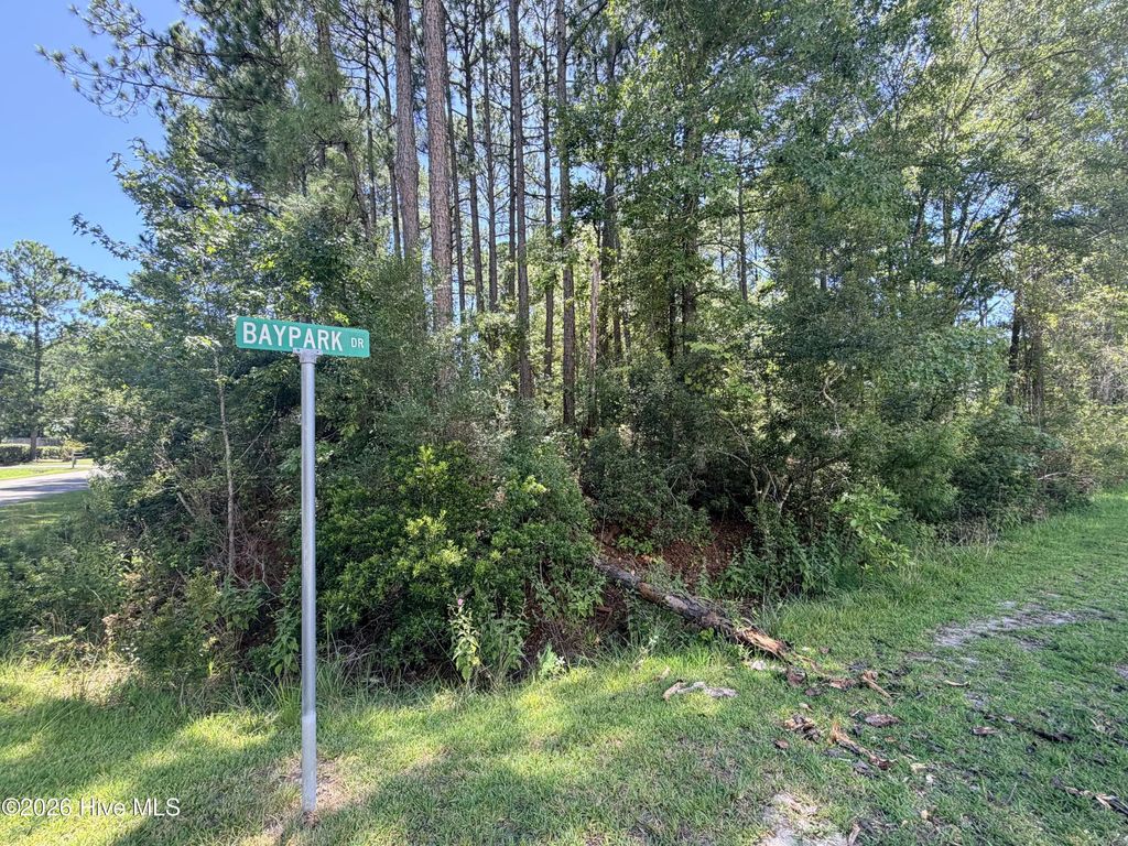 392 Baypark Drive Nw, Calabash