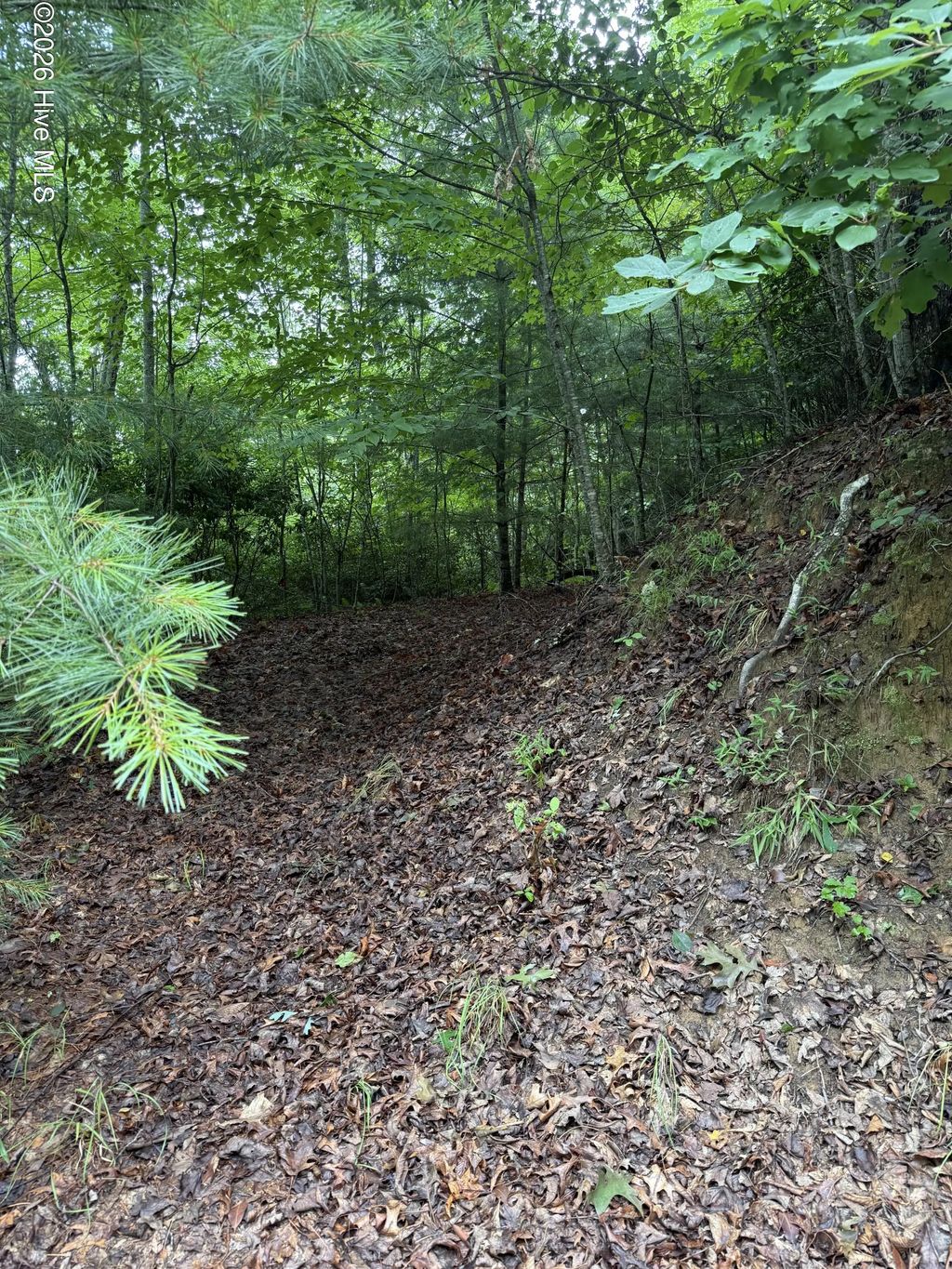 Lot 3 Mountain Vista Lane, Topton