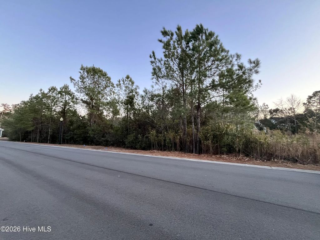 2957 Old Berwick Street Sw, Shallotte