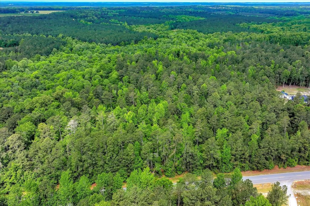 4985 Harlem Wrens Road, Columbia