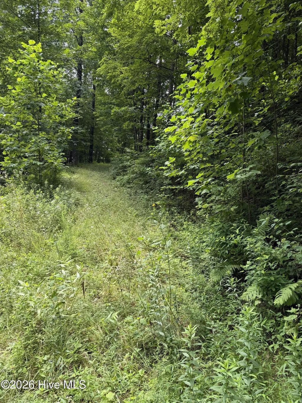 Lot 2 Outlook Road, Murphy