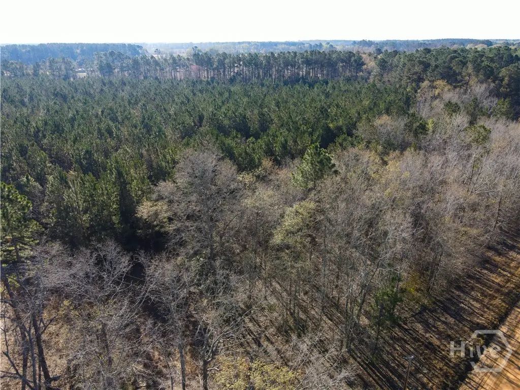 0 Clifton Road, Statesboro