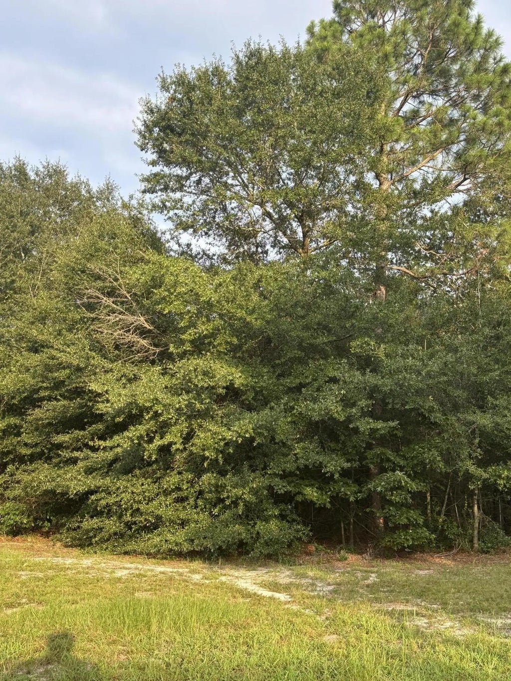 4309 Windsor Spring Road, 