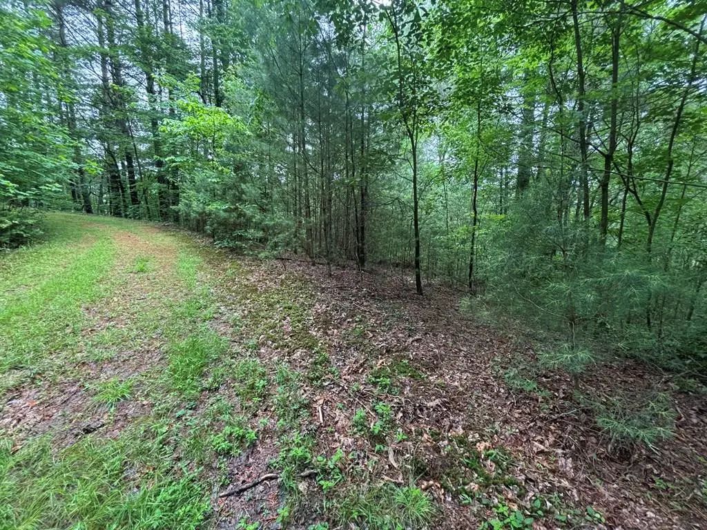 Lot 11 Horse Camp Drive, Fires Creek