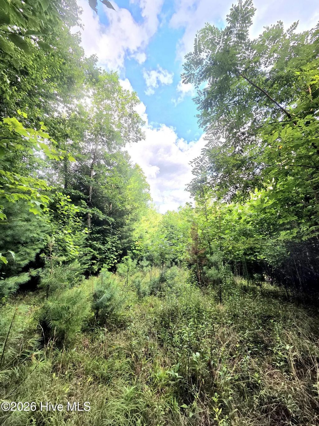 50 Camp Branch Road, Topton