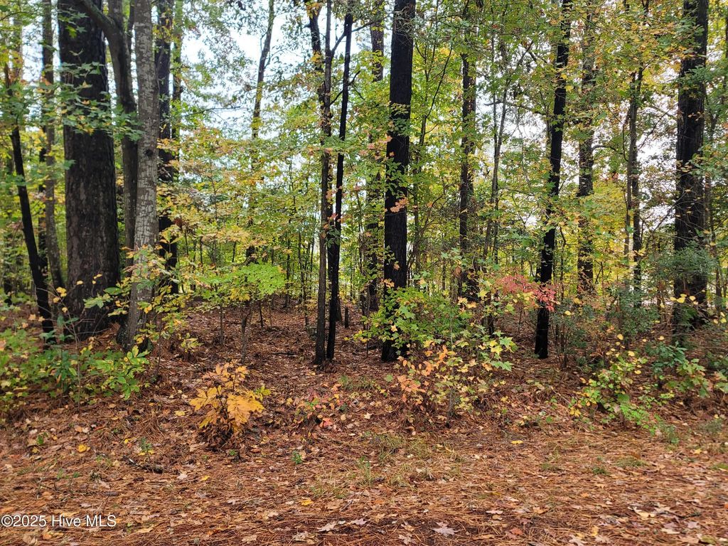 Lot #17 Dogwood Trail, Elizabeth City