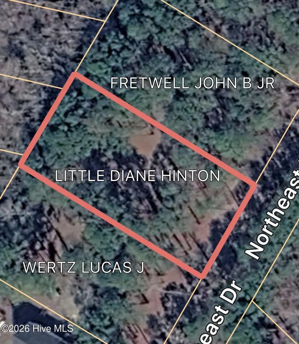 0 Northeast Drive, Burgaw