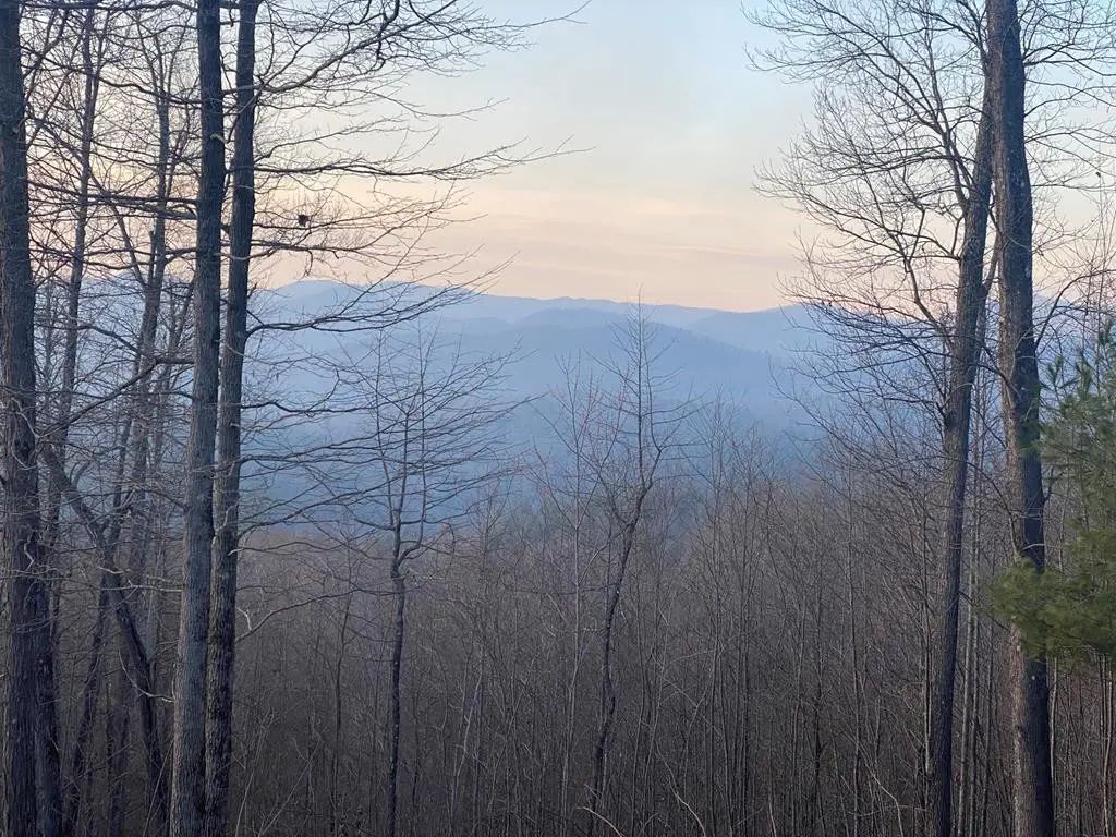 Lot 40 Big Sky Drive, Murphy
